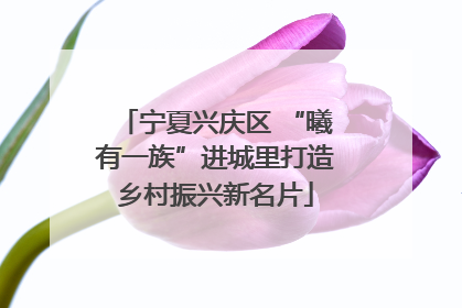 宁夏兴庆区 “曦有一族”进城里打造乡村振兴新名片