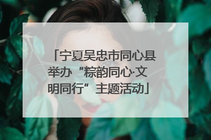 宁夏吴忠市同心县举办“粽韵同心·文明同行”主题活动