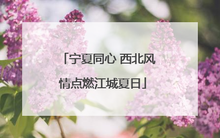 宁夏同心 西北风情点燃江城夏日