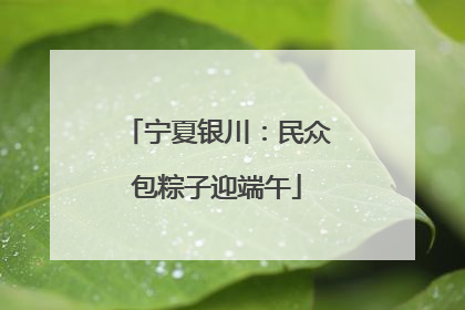 宁夏银川：民众包粽子迎端午
