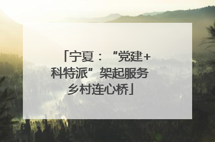 宁夏：“党建+科特派”架起服务乡村连心桥