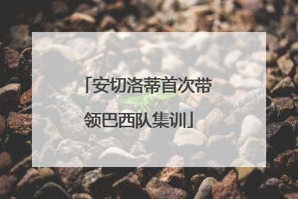 安切洛蒂首次带领巴西队集训