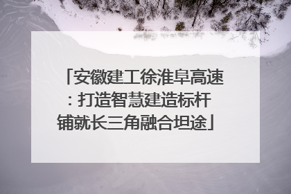 安徽建工徐淮阜高速：打造智慧建造标杆 铺就长三角融合坦途