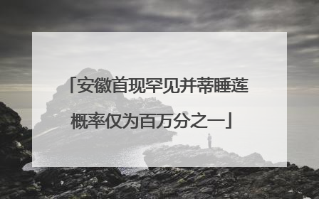 安徽首现罕见并蒂睡莲 概率仅为百万分之一