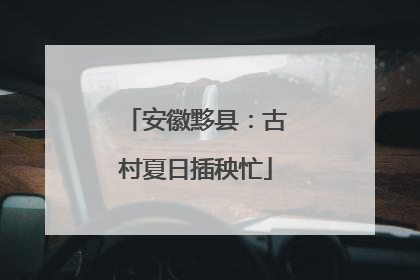 安徽黟县：古村夏日插秧忙