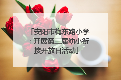 安阳市梅东路小学：开展第三届幼小衔接开放日活动