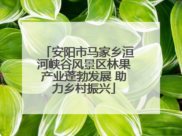 安阳市马家乡洹河峡谷风景区林果产业蓬勃发展 助力乡村振兴