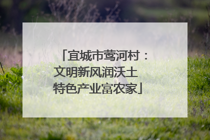 宜城市莺河村：文明新风润沃土 特色产业富农家