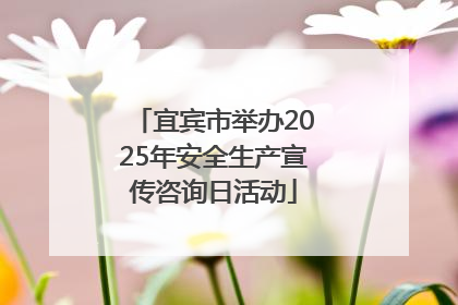 宜宾市举办2025年安全生产宣传咨询日活动