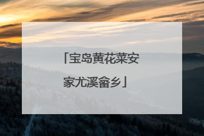宝岛黄花菜安家尤溪畲乡