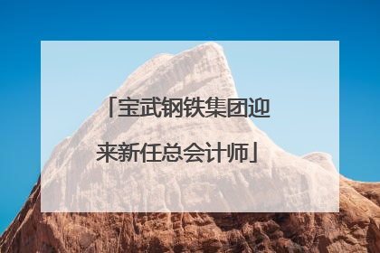 宝武钢铁集团迎来新任总会计师