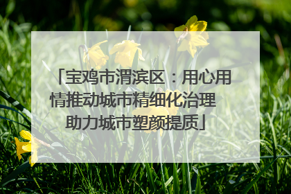 宝鸡市渭滨区：用心用情推动城市精细化治理 助力城市塑颜提质
