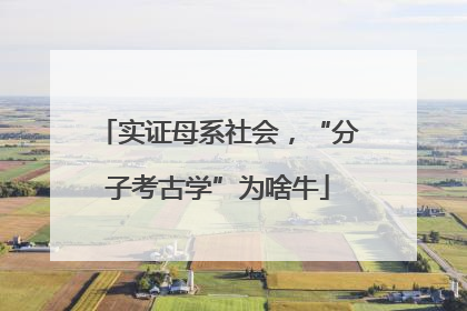 实证母系社会，“分子考古学”为啥牛