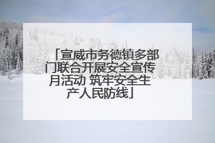 宣威市务德镇多部门联合开展安全宣传月活动 筑牢安全生产人民防线