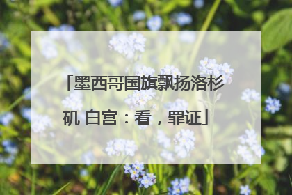 墨西哥国旗飘扬洛杉矶 白宫：看，罪证