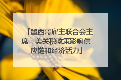 墨西哥雇主联合会主席：美关税政策影响供应链和经济活力