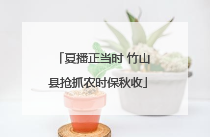 夏播正当时 竹山县抢抓农时保秋收