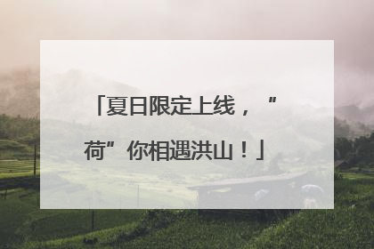 夏日限定上线，“荷”你相遇洪山！