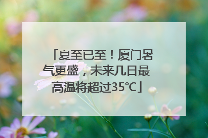 夏至已至！厦门暑气更盛，未来几日最高温将超过35℃