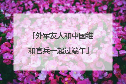 外军友人和中国维和官兵一起过端午