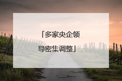 多家央企领导密集调整