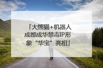 大熊猫+机器人 成都成华禁毒IP形象“华宝”亮相