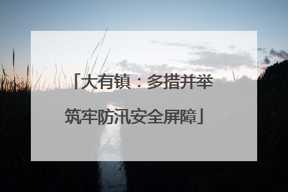 大有镇：多措并举筑牢防汛安全屏障