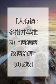 大有镇：多措并举推动“两清两改两治理”见成效