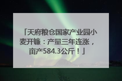 天府粮仓国家产业园小麦开镰：产量三年连涨，亩产584.3公斤！