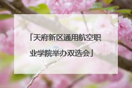 天府新区通用航空职业学院举办双选会