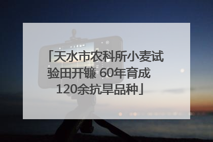 天水市农科所小麦试验田开镰 60年育成120余抗旱品种