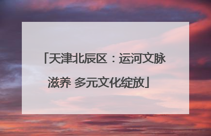 天津北辰区：运河文脉滋养 多元文化绽放