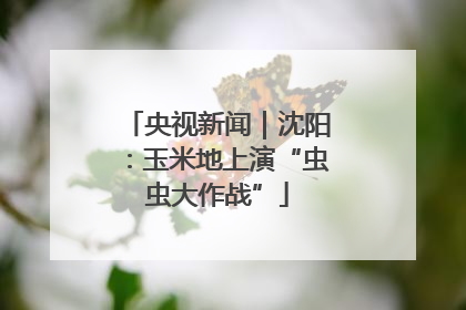 央视新闻｜沈阳：玉米地上演“虫虫大作战”