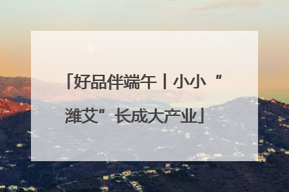 好品伴端午丨小小“潍艾”长成大产业