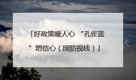 好政策暖人心 “孔雀蓝”增信心（国防视线）