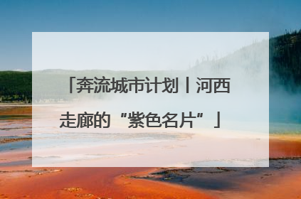 奔流城市计划丨河西走廊的“紫色名片”