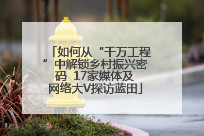 如何从“千万工程”中解锁乡村振兴密码  17家媒体及网络大V探访蓝田