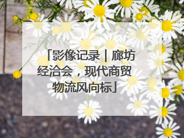 影像记录｜廊坊经洽会，现代商贸物流风向标