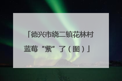 德兴市绕二镇花林村蓝莓“紫”了（图）