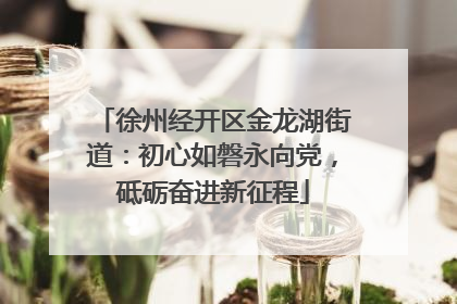 徐州经开区金龙湖街道：初心如磐永向党，砥砺奋进新征程