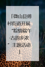 微山县傅村街道开展“粽情端午·古韵乡浓”主题活动