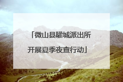 微山县驩城派出所开展夏季夜查行动