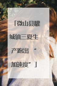 微山县驩城镇三夏生产跑出 “加速度”