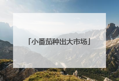 小番茄种出大市场