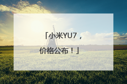 小米YU7，价格公布！