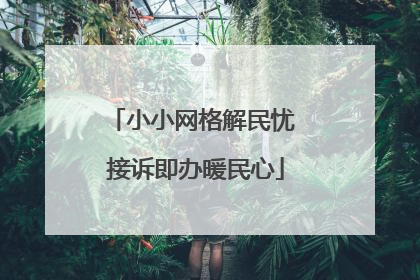 小小网格解民忧 接诉即办暖民心