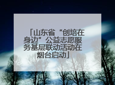 山东省“创培在身边”公益志愿服务基层联动活动在烟台启动