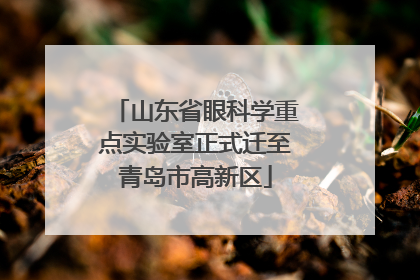 山东省眼科学重点实验室正式迁至青岛市高新区
