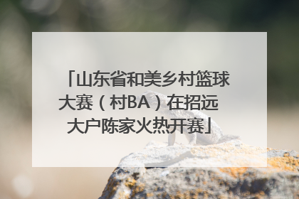 山东省和美乡村篮球大赛（村BA）在招远大户陈家火热开赛