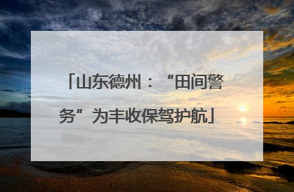 山东德州：“田间警务”为丰收保驾护航